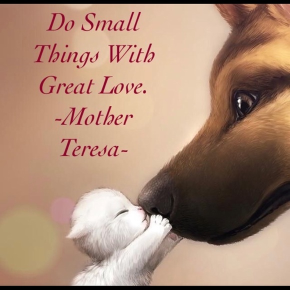 Meet your Posher, Bernice - Picture 4 of 12